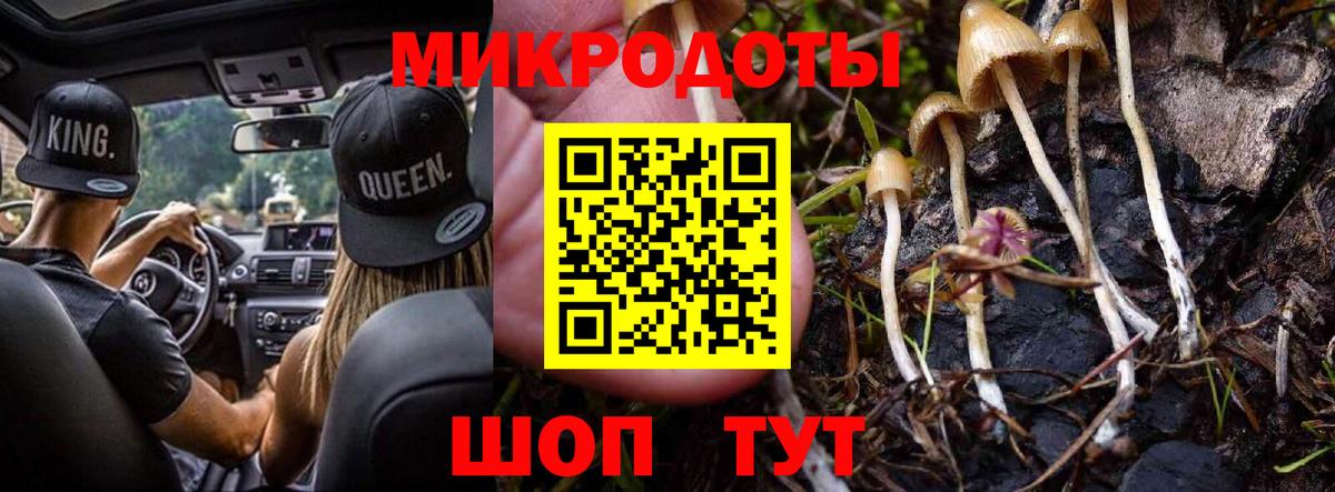 Галлюциногенные грибы Psilocybe  продажа наркотиков  Галлюциногенные грибы MAGIC MUSHROOMS  Волжск  Вход с VPN 